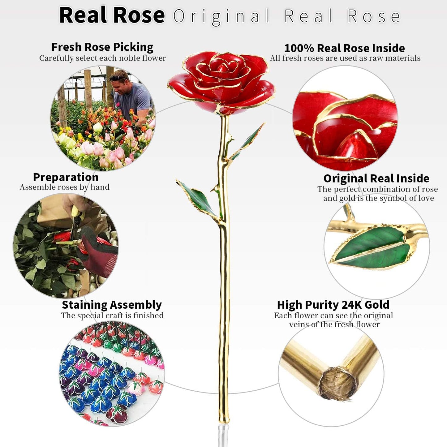 24K Gold-Dipped Real Rose with Display Stand – Anniversary Gift