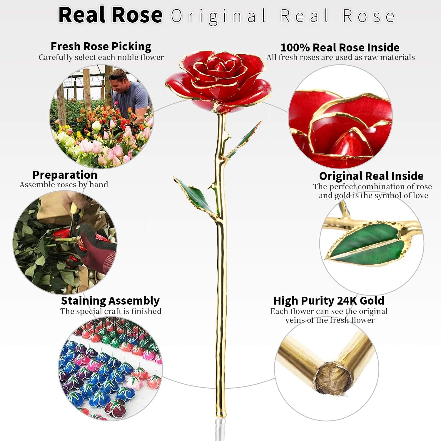 24K Gold-Dipped Real Rose with Display Stand – Anniversary Gift