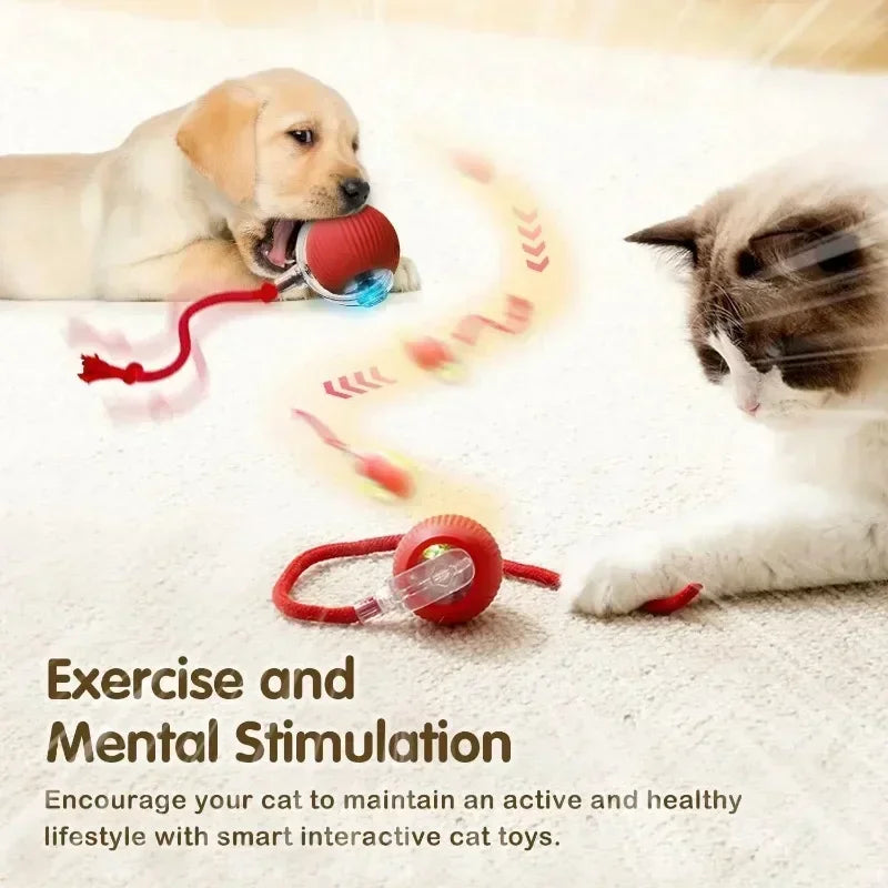 Cat Interactive Ball Toy Automatic Rolling with Tail