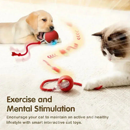 Cat Interactive Ball Toy Automatic Rolling with Tail