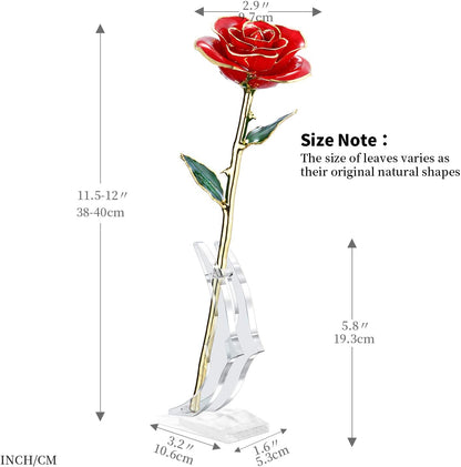 24K Gold-Dipped Real Rose with Display Stand – Anniversary Gift