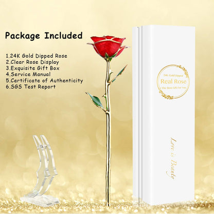 24K Gold-Dipped Real Rose with Display Stand – Anniversary Gift