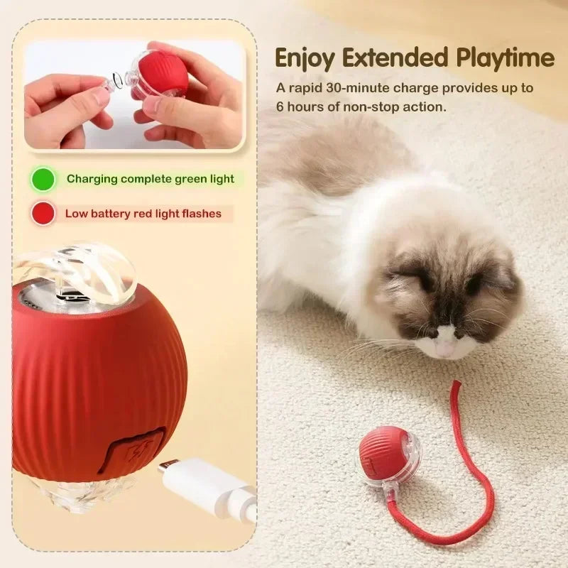 Cat Interactive Ball Toy Automatic Rolling with Tail