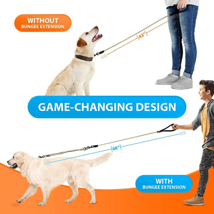 Heavy-Duty Bungee Dog Leash – No-Pull Shock Absorbing Lead