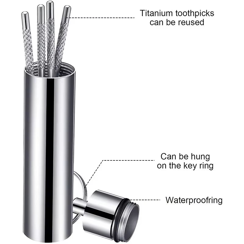 Stainless Steel Toothpick Set Reusable Tartar Removal Tool