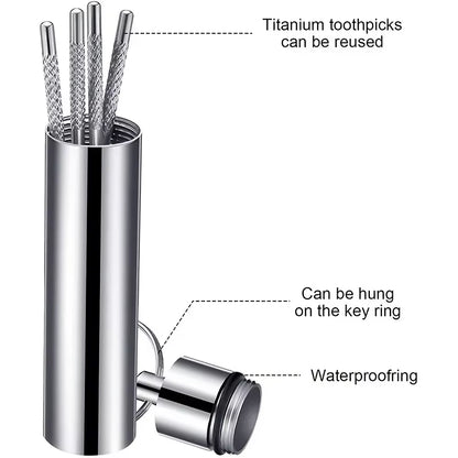 Stainless Steel Toothpick Set Reusable Tartar Removal Tool