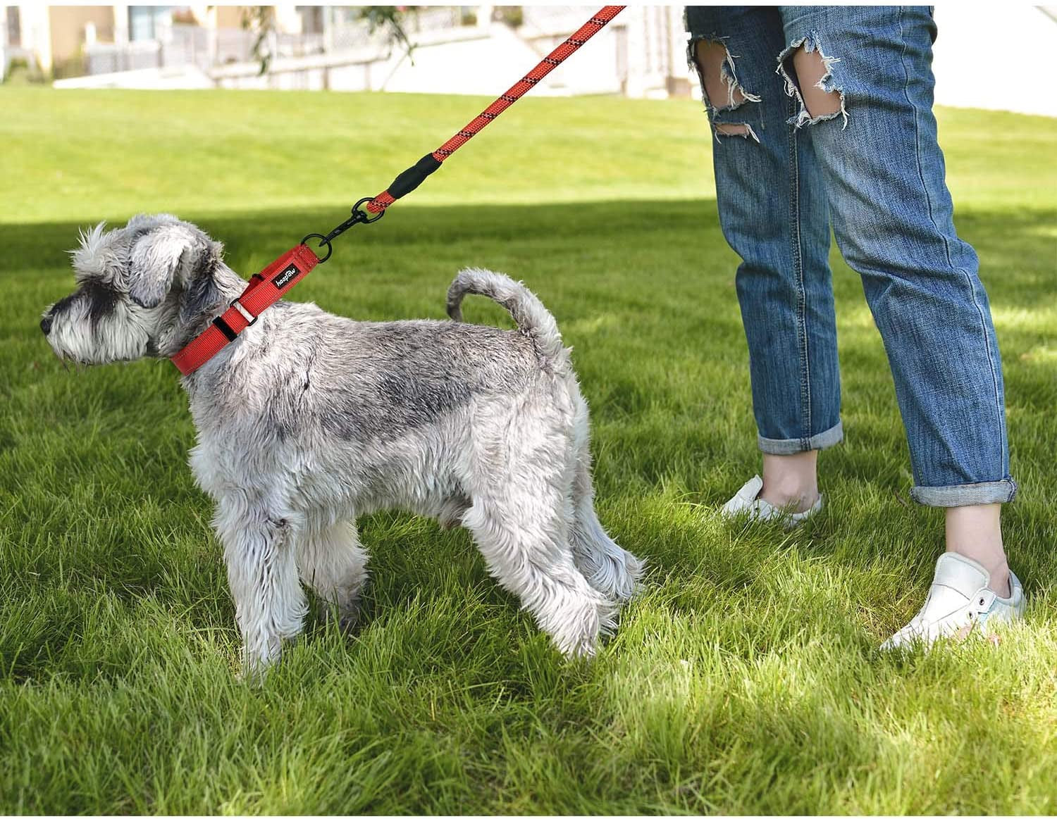 Reflective Martingale Dog Collar – Quick-Release Training Collar