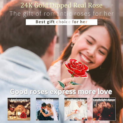 24K Gold-Dipped Real Rose with Display Stand – Anniversary Gift