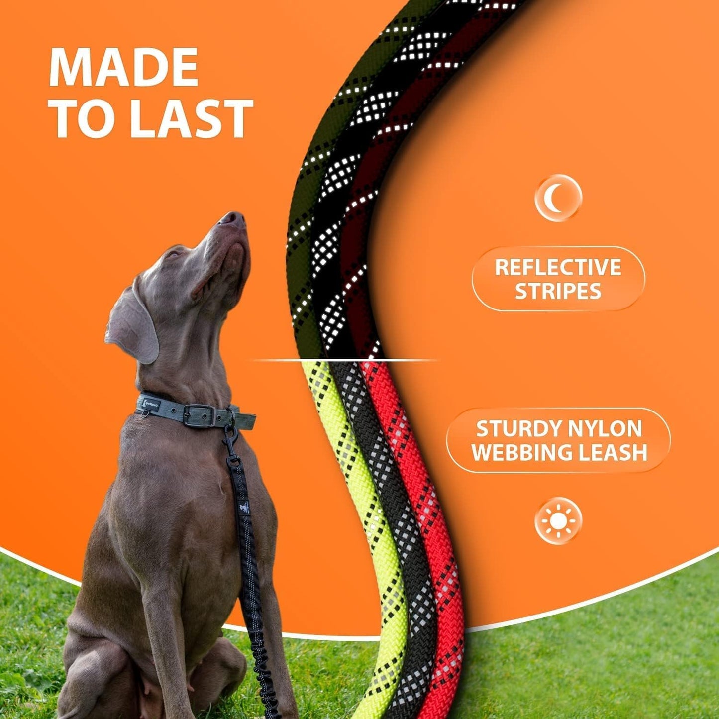 Heavy-Duty Bungee Dog Leash – No-Pull Shock Absorbing Lead