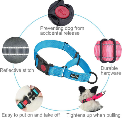 Reflective Martingale Dog Collar – Quick-Release Training Collar