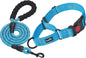 Reflective Martingale Dog Collar – Quick-Release Training Collar