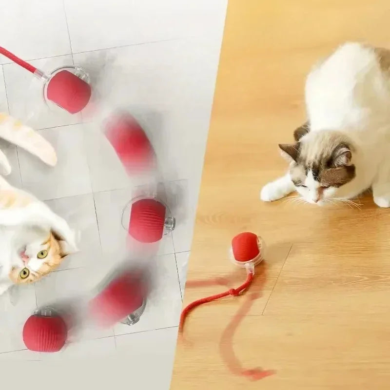 Cat Interactive Ball Toy Automatic Rolling with Tail