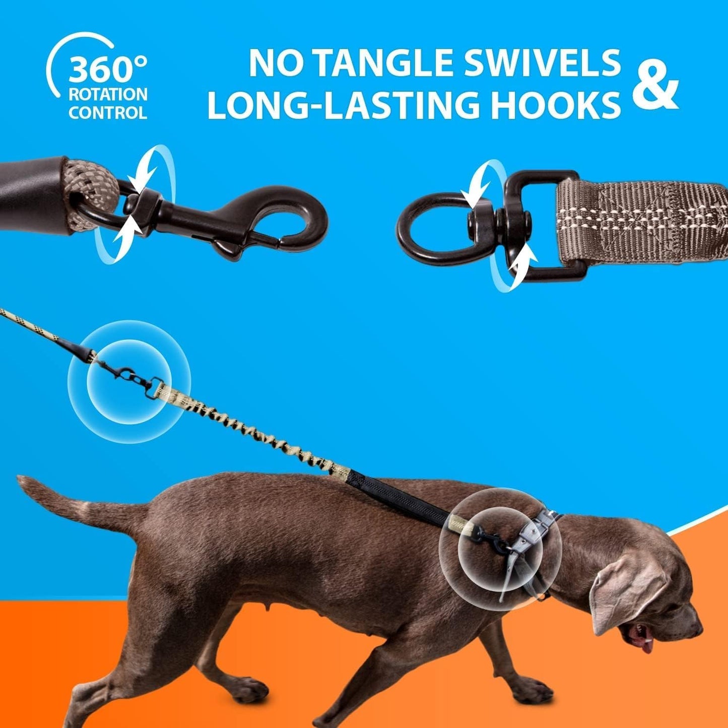 Heavy-Duty Bungee Dog Leash – No-Pull Shock Absorbing Lead